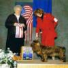 Ch Remedi's Trick or Treat
Ch. Remedi's Mouawad Magic  X Faith