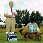 GCh Wild Cherry Remedi Dormouse 

" Dormouse"

Desi & Ch Tailsen's Steppin Stones at Comp