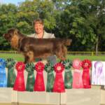 Tango  - GCh. Remedi Wild Cherry Tango Down RAE BN CAA