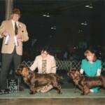 Bill winning his 4th 3 pt. major and sister Dormouse winning her First Major. 