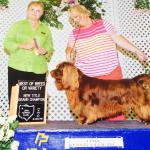 Rufus - New Grand Champion